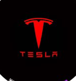 For Tesla Laser Door Logo Lights Ghost Shadow Projector Car Courtesy Welcome Light